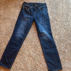 Silver Jeans Co. Indigo Denim